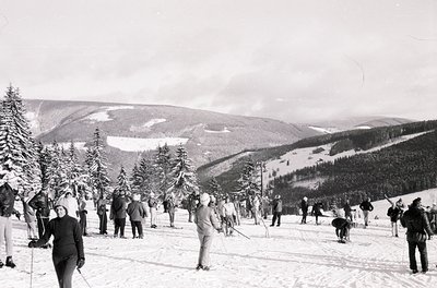 Mid-20th century alpine skiing scene with dense forest and snow-covered slopes. Group of skiers in vintage gear (long skis, w...