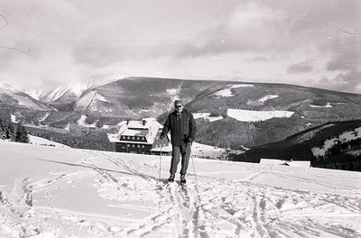 Black-and-white ski scene featuring a lone cross-country skier in mid-stride on groomed trails, surrounded by snow-covered al...