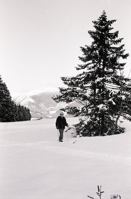 Black-and-white ski scene featuring a lone cross-country skier in mid-motion on groomed trails, flanked by snow-laden evergre...