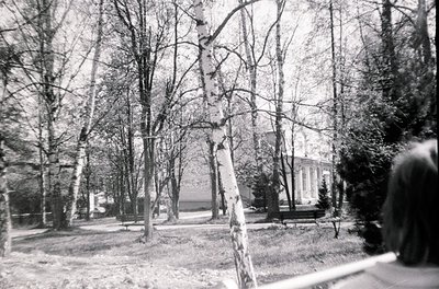 Black-and-white shot of a serene park pathway lined with birch trees, their white bark contrasting sharply. A partial view of...