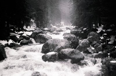 Black-and-white winter scene of a snow-covered mountain stream with cascading water over large rocks. Dense forest of evergre...