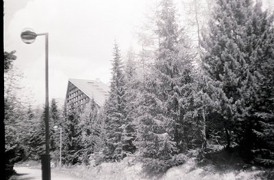 Snow-laden evergreens frame a mid-century alpine lodge, captured in vintage monochrome. Classic streetlamp and paved path sug...