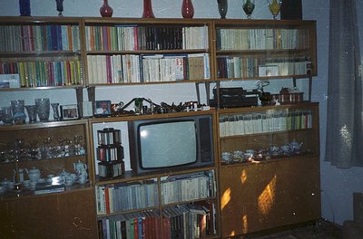 Vintage wooden bookshelf displaying mid-20th century domestic life. Shelves packed with books, vinyl records, and decorative ...