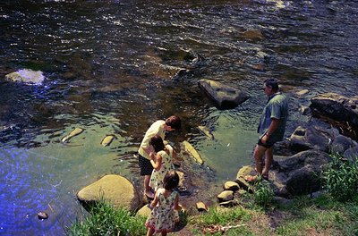 Family of three wading in shallow, rocky river—adults assist child in water. Mid-20th century clothing suggests or . Natural ...
