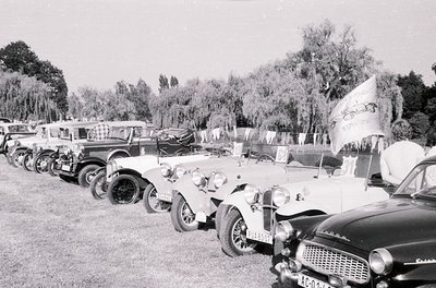 Classic vintage cars lined up in an outdoor setting, likely a 1960s automotive show or rally. Visible models include a vintag...