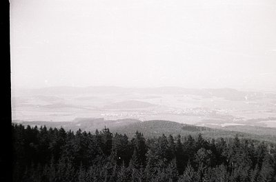 Vintage black-and-white aerial view of forested hills transitioning to a distant urban sprawl. Dense pine trees dominate fore...
