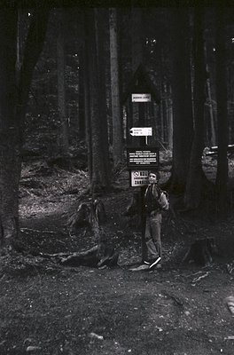Black-and-white forest scene featuring a lone hiker in mid-20th century attire (dark jacket, trousers, and boots) standing be...