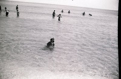 Mid-20th century beach scene with shallow waters. A scuba diver in full gear swims near the shore, while others wade or stand...