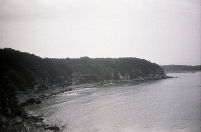 Black-and-white coastal scene featuring jagged cliffs meeting calm waters. Dense forest covers the cliffside, with sparse roc...