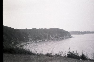 Black-and-white coastal scene featuring steep, forested cliffs meeting calm waters. Vegetation appears dense along the cliffs...