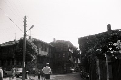 Black-and-white street scene featuring two-story wooden houses with overgrown greenery, indicative of Eastern European archit...