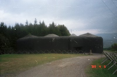 Concrete bunker with sloped roof and ventilation slits, set in a grassy field with forested background. Overcast sky suggests...