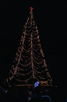 Impressive illuminated Christmas tree display with warm white and golden lights, crowned by a red star. Structure features ho...