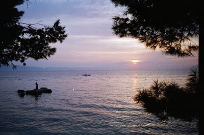 Golden-hour seascape with lone figure standing on rocky outcrop, framed by pine branches. Distant boat glides under soft suns...