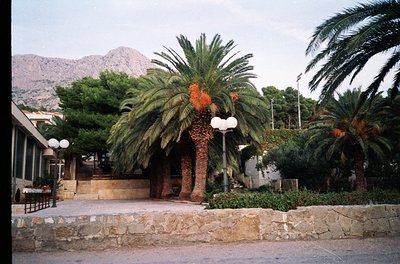 Mediterranean seaside courtyard with stone walls, palm trees, and modernist street lamps. Mountain backdrop suggests coastal ...