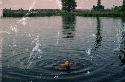 Vintage black-and-white photo of a lone figure swimming in calm, reflective water. Ripples spread outward from the swimmer’s ...