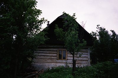 Rustic log cabin with steep gabled roof, partially obscured by dense greenery. Weathered wooden planks and single small windo...