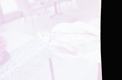 Vintage sepia-toned photo of a seated individual in a dimly lit, possibly institutional setting. The person wears a high-coll...