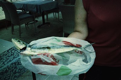 Whole grilled fish served on a white paper plate with lettuce and tomato slices, placed on a patterned tablecloth in an outdo...