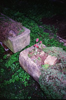 Natural stone planters arranged in a low, circular garden bed with vibrant red flowers and lush greenery. Moss-covered rocks ...