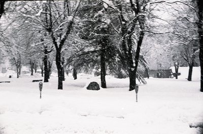 Snow-laden trees and park bench in a winter landscape, likely mid-20th century. Heavy snowfall blankets ground, branches, and...