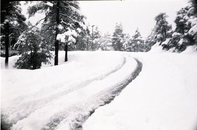 Snow-covered road winding through evergreen forest, mid-20th century black-and-white. Bare trees and tire tracks in fresh pow...