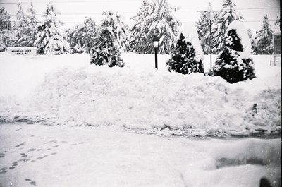 Snow-covered forest road with sign reading "Mountain View Lem T.Y." in vintage monochrome. Dense evergreens line both sides, ...