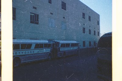 Vintage 1960s-70s **Greyhound bus depot** with two white buses bearing "Greyhound" branding parked in front of a utilitarian ...