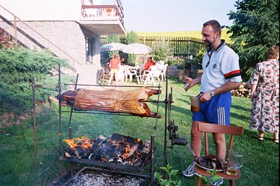 Whole pig roasting over open flame in backyard setting, 1970s-1980s. Man in Adidas track pants and polo shirt tends to fire, ...