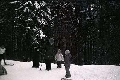 Black-and-white winter scene featuring a group of skiers in a forested area, likely mid-20th century. Adults and children in ...