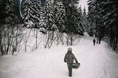 Black-and-white snapshot of a child skiing on a groomed trail surrounded by dense coniferous forest. Snow-covered slopes and ...