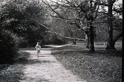 Mid-20th century black-and-white photo of a lone cyclist riding a vintage road bike on a gravel path through a wooded park. D...