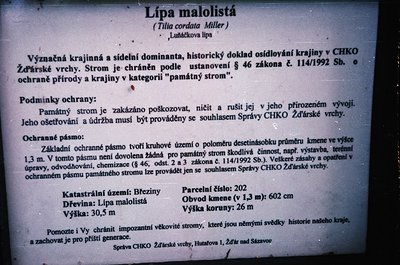 Handwritten signboard in Czech detailing a protected **small-leaved lime tree (*Tilia cordata*)**, a historic landscape landm...