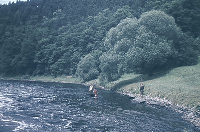 Vintage black-and-white photo of two individuals wading in a shallow, rocky riverbed surrounded by dense forest. One wears a ...