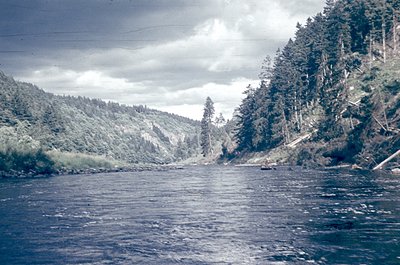 Vintage black-and-white river scene with dense coniferous forest on both banks. Overcast sky enhances moody atmosphere. Possi...
