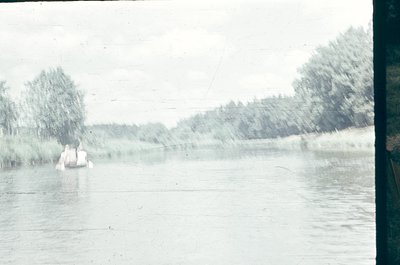 Vintage black-and-white photo of two figures in a small wooden boat on a shallow, overcast lake. Dense reeds line the shore, ...