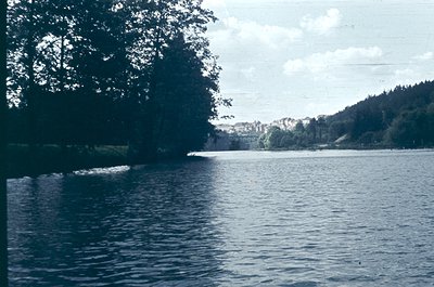 Vintage sepia-toned lake scene with dense forest framing left edge. Distant shoreline shows sparse buildings and forested hil...
