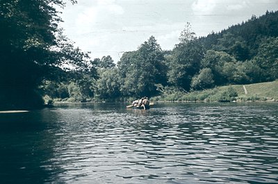 Vintage black-and-white photo of two individuals in a small wooden rowboat on calm waters, surrounded by dense forest. Lush g...