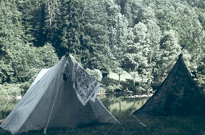 Vintage-style tents pitched beside a serene lake, surrounded by dense coniferous forest. The tent on the left features a flor...