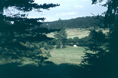 Vintage sepia-toned landscape shot through dense evergreen foliage, revealing rolling green hills and a lone white building. ...