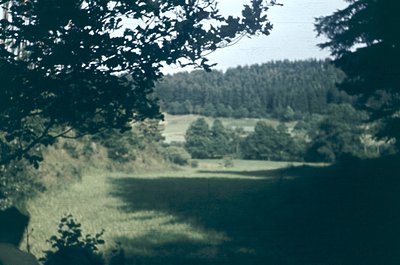 Vintage sepia-toned landscape shot through foliage, revealing a winding dirt path flanked by dense greenery. Soft focus enhan...