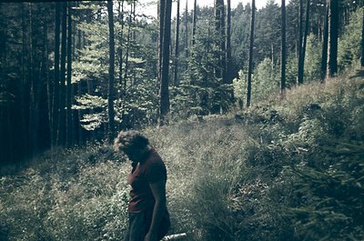 Vintage sepia-toned photo of a lone figure in a dense forest, back turned, holding a long object (likely a tool or branch). T...