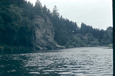 Vintage coastal scene featuring steep, forested bluffs meeting calm waters. Dense evergreen trees line the rocky shoreline, w...