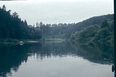 Calm lake scene with dense forest reflections, likely mid-20th century. Overcast skies and muted colors suggest vintage film ...