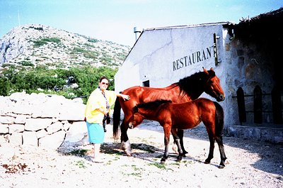 A person in retro sunglasses and a yellow jacket poses beside a chestnut horse at a rustic stone-walled restaurant entrance, ...