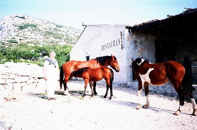 Rural mountain restaurant signage with two horses and a woman in traditional attire beside a stone wall. Rustic stone buildin...
