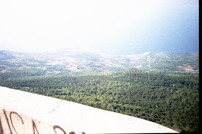 Vintage aerial view of dense coniferous forest stretching toward distant rocky ridges under hazy skies. Likely captured from ...
