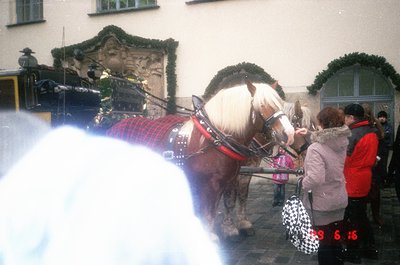 Horse-drawn carriage with two white horses in harness, passing through a European town square. Decorative wreaths on building...