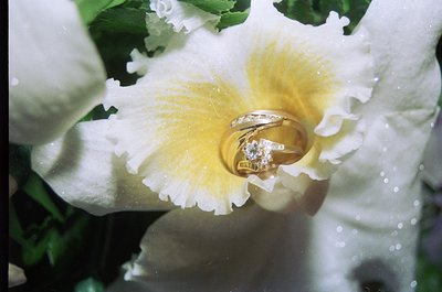 Close-up of a delicate yellow and white orchid with a vintage-style gold wedding band and diamond ring nestled in its petals....
