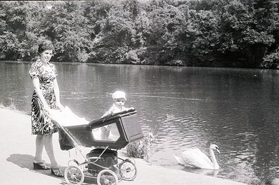Mid-20th century black-and-white photo: woman in patterned dress pushes vintage pram near serene lake, swan glides in backgro...